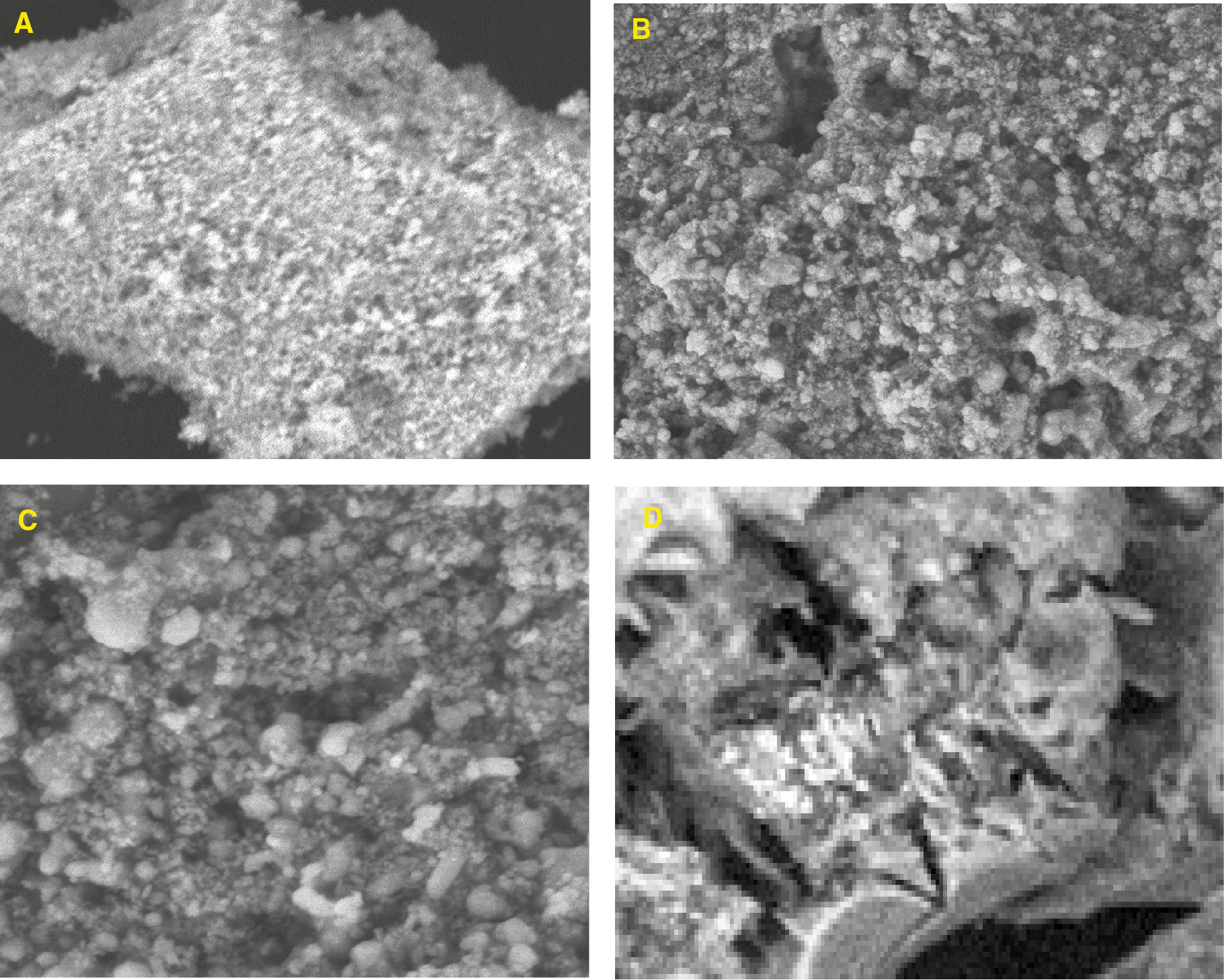 Figure 2: SEM image of (A) cellulose (B) and (C) benzyl cellulose at different magnifications (D) benzyl cellulose-TiO2 nanoparticles composite.