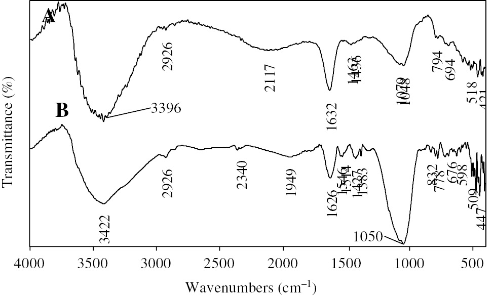 Figure 6: Spectrum FTIR of composite beads of NCs (B) denotes before adsorption and (A) denotes after adsorption.