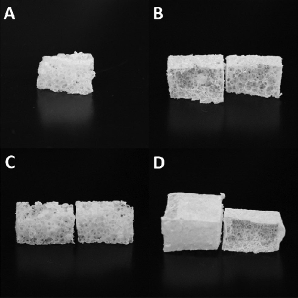Figure 4: Photos of the resulting PPX structures after the extraction of polystyrene for the EPS template with a density of 25 g/l (A, B) and 40 g/l (C, D) and a bad (A, C) and good (B, D) welding quality.