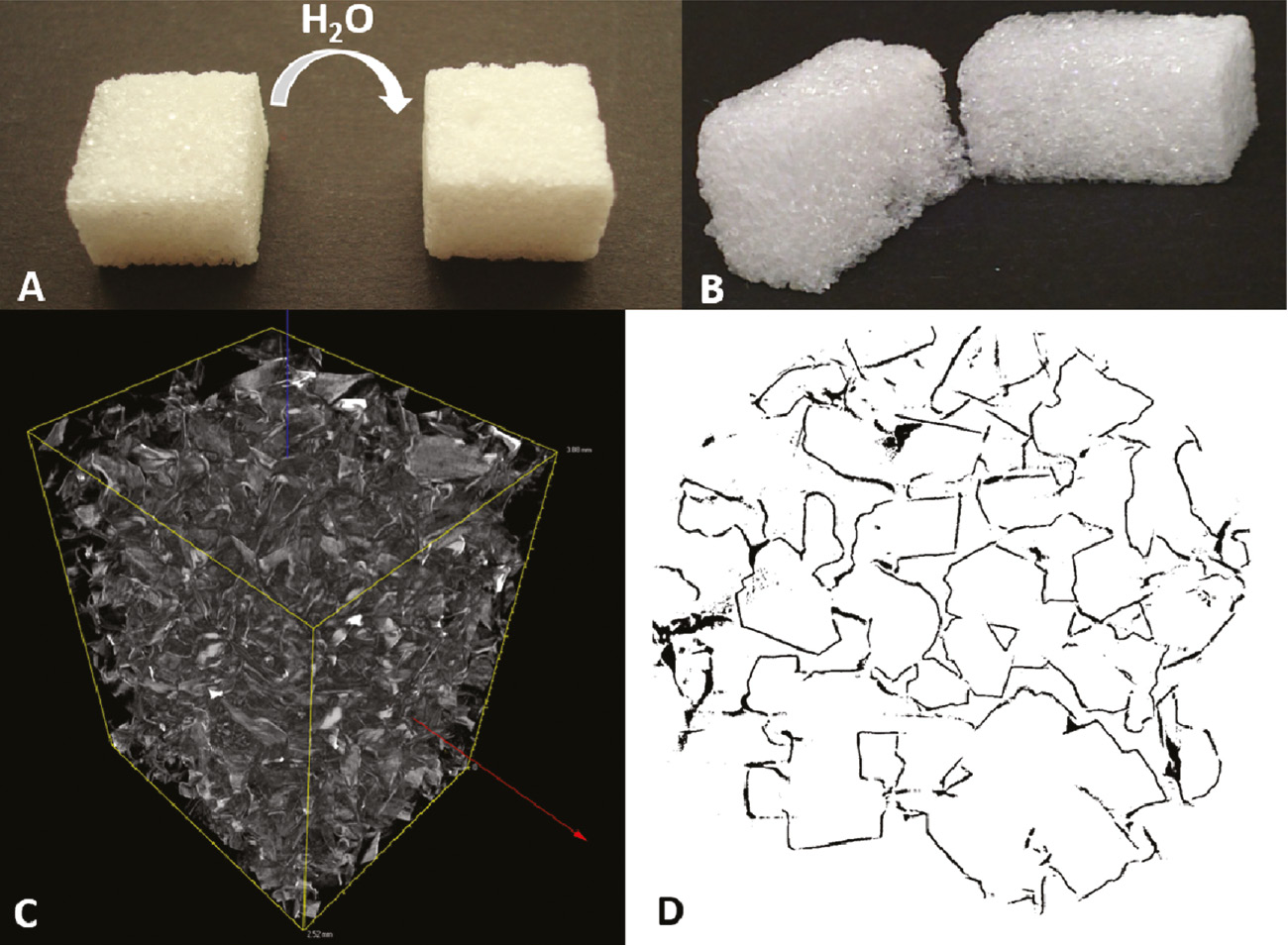 Figure 5: Sugar cubes served as templates for the PPX foam formation and μ-CT analysis confirmed the continous PPX scaffold.A PPX-coated sugar cube was extracted with hot water to form a PPX foam (A). The cross section of the PPX foams shows the complete penetration of the gas into the inside (B). μ-CT was used for imaging the 3D structure of the foam (C) and cross-sectional analysis (D).