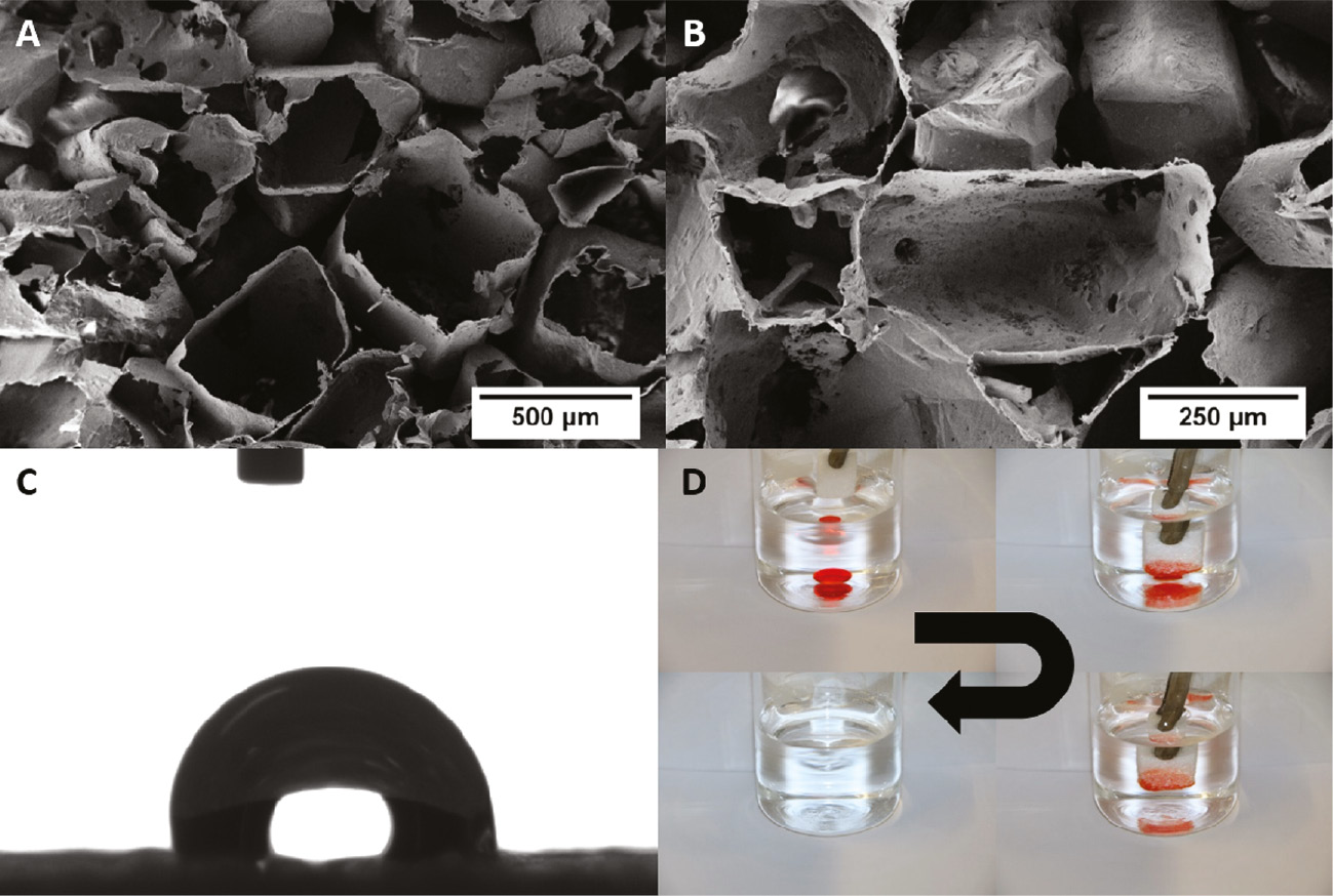 Figure 6: SEM images of the PPX foam (A, B) after the extraction of the sugar shows nicely the remained PPX structure and the shape of the originally sugar crystals, which were coated by the PPX. Water drop on PPX foam (C). Photos of the separation quality of the PPX foam (D). A drop of dyed chloroform (dye: Disperse Red 1) was put into a beaker with water. The foam was submerged into the water and absorbed selectively the chloroform.