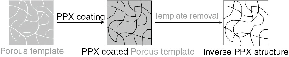 Scheme 2: Schematic diagram for the fabrication of a PPX sponge using porous templates.First, a porous material was coated with PPX by the CVD approach so that it filled the empty space inside the template. Afterwards, the template was removed by dissolving it, and the resulting PPX sponge showed the inverse structure of the porous template.