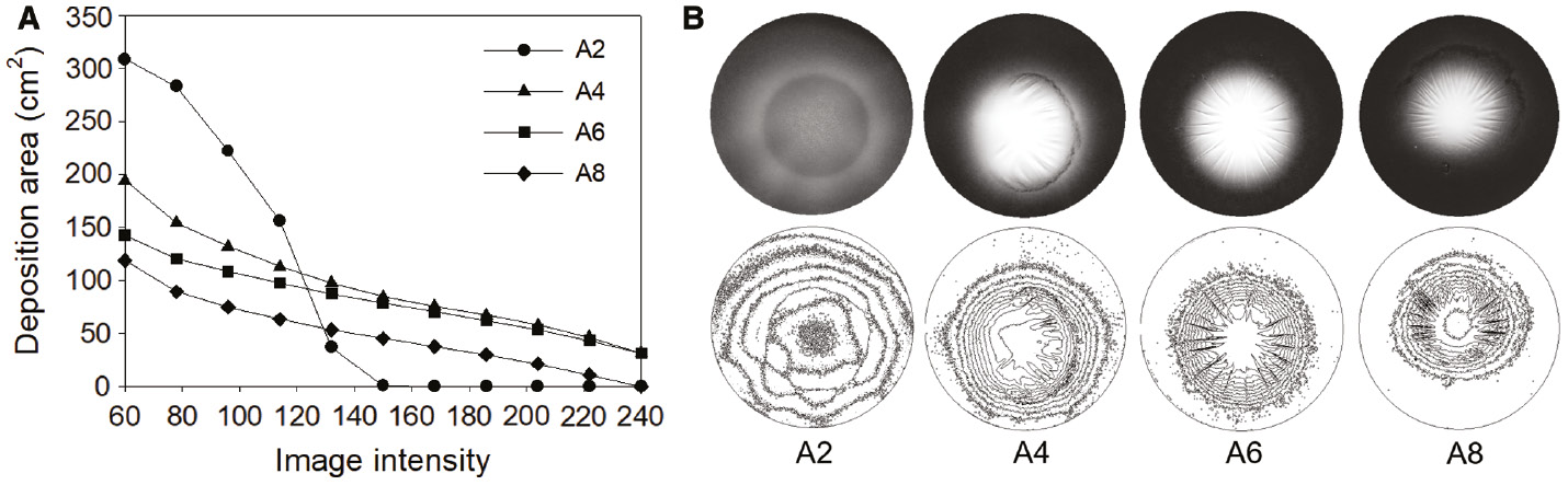 Figure 5: (A) Contour analysis of web deposition through threshold processing and (B) corresponding web images.