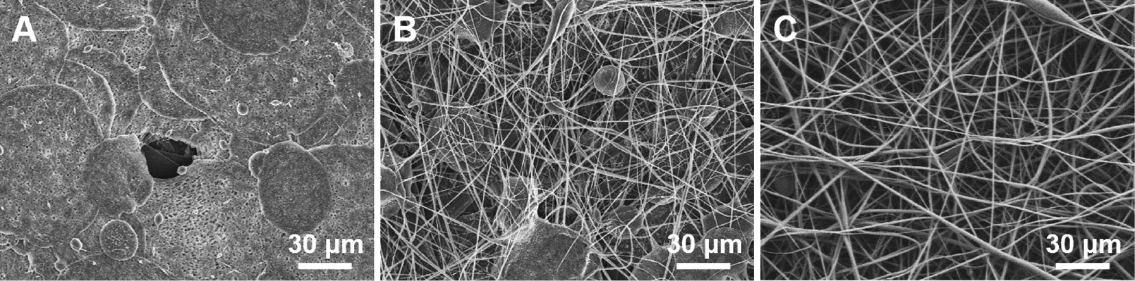 Figure 6: FE-SEM images of nanoweb obtained by electrospun: A) A0, B) A2, and C) A4.