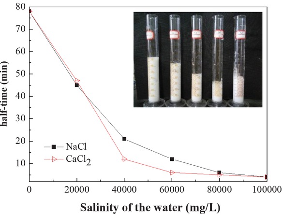 Figure 4 Effect of salinity on the half-time of foam (embedded image: volume change of foams with different salinity values).