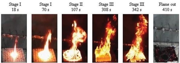 Figure 4 Typical flame spread images of NR latex foam.