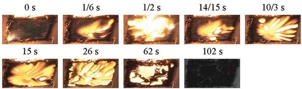 Figure 5 Typical bottom flame spread images.