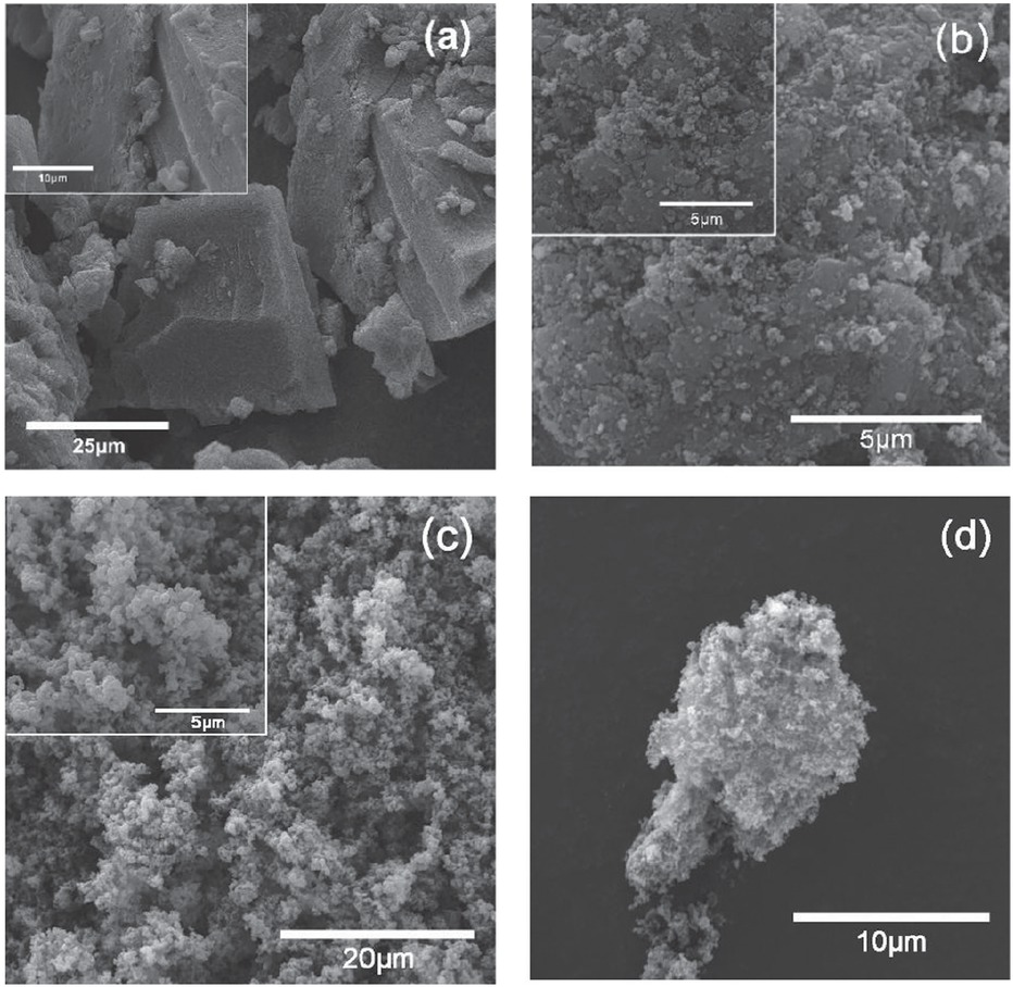 Figure 2 SEM morphologies of (a) pure PEDOT; and (b, c, d) CB-PEDOT.