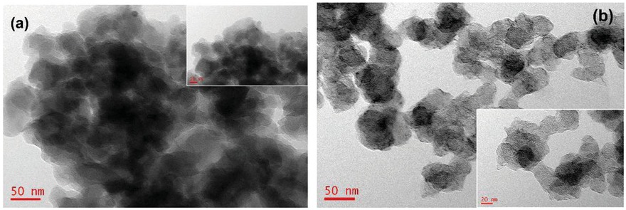 Figure 4 TEM morphologies of (a) pure PEDOT; and (b) CB-PEDOT.