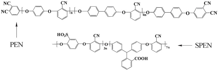 Figure 1 Structure of PEN and SPEN.