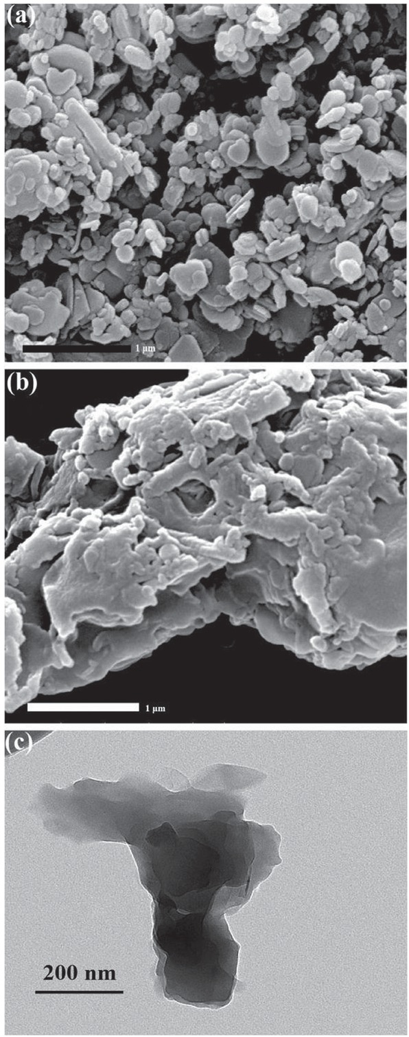 Figure 3 SEM images of (a) BN and (b) BN@SPEN; (c) TEM image of BN@SPEN.