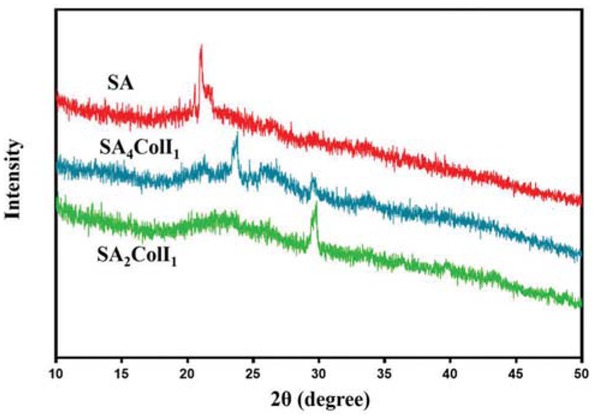 Figure 2 XRD spectra of the SA, SA 4ColI1 and SA2ColI1 hydrogels.
