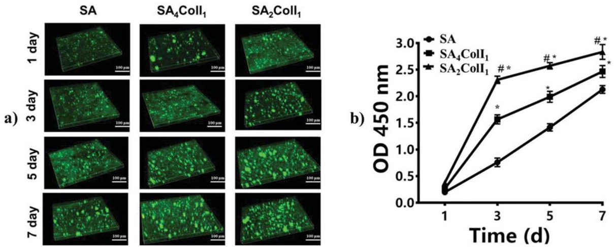 Figure 5 (a) CLSM images and (b) proliferation detection of MSCs distributed in each hydrogel (*p<0.001 compared with SA, #p<0.001 compared with SA4ColI1, mean ± SD, n=3).