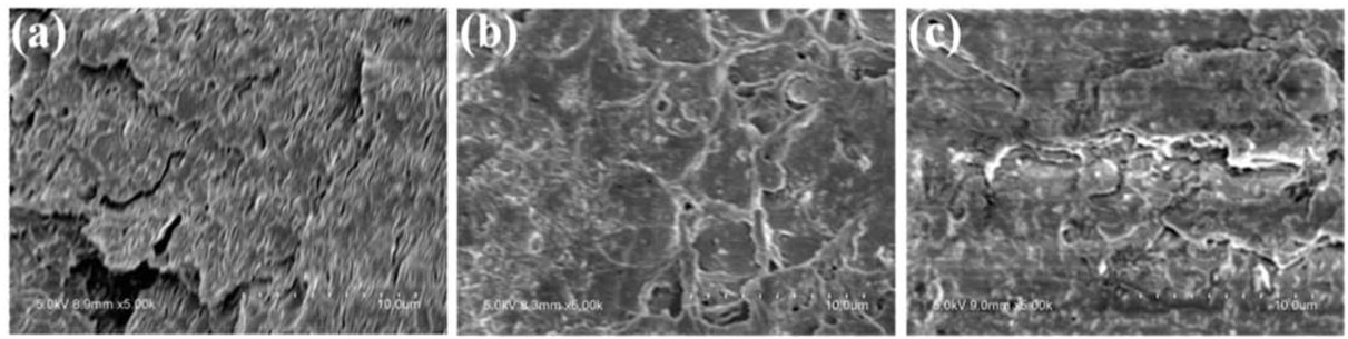Figure 10 SEM images of (a) PS/CaMt; (b) PS/CaOMt-c; (c) PS/CaOMt-d.