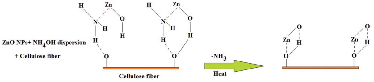 Figure 8 Schematic diagram for coating steps of ZnO nanoparticles on cellulose fibers (reproduced from (121))