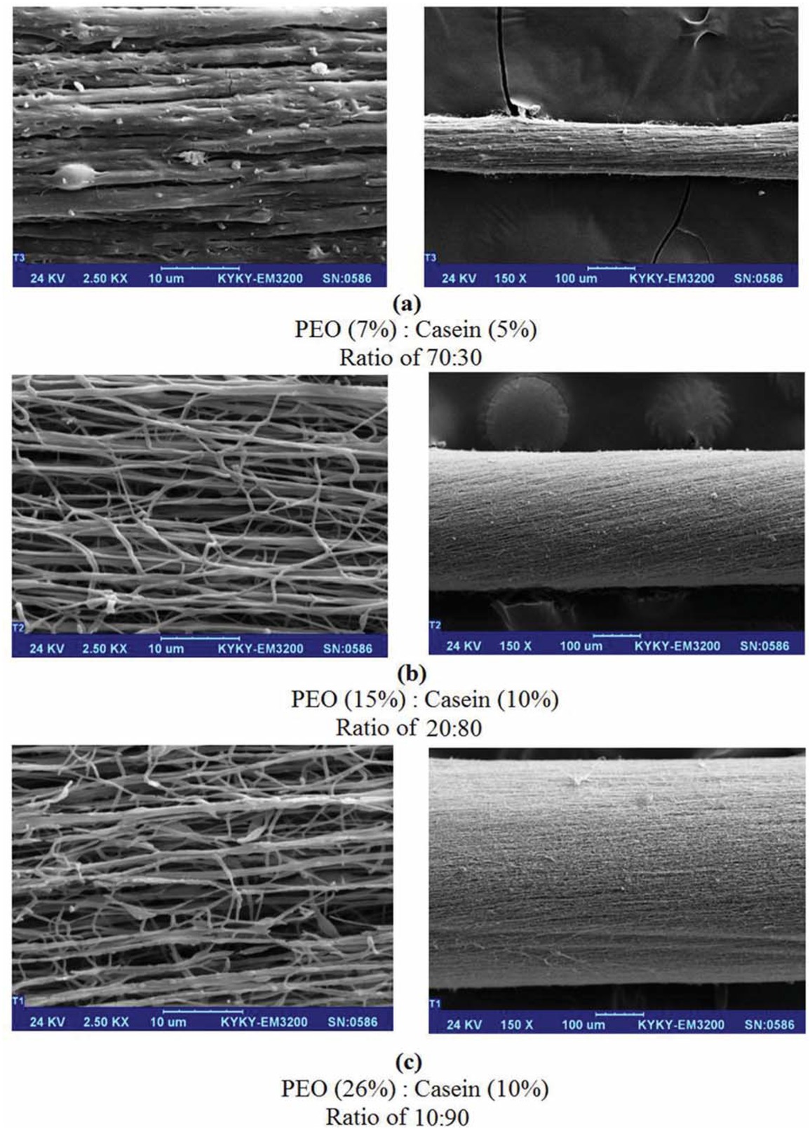 Figure 4 SEM images of nanofiber yarn produced from PEO/casein solution.