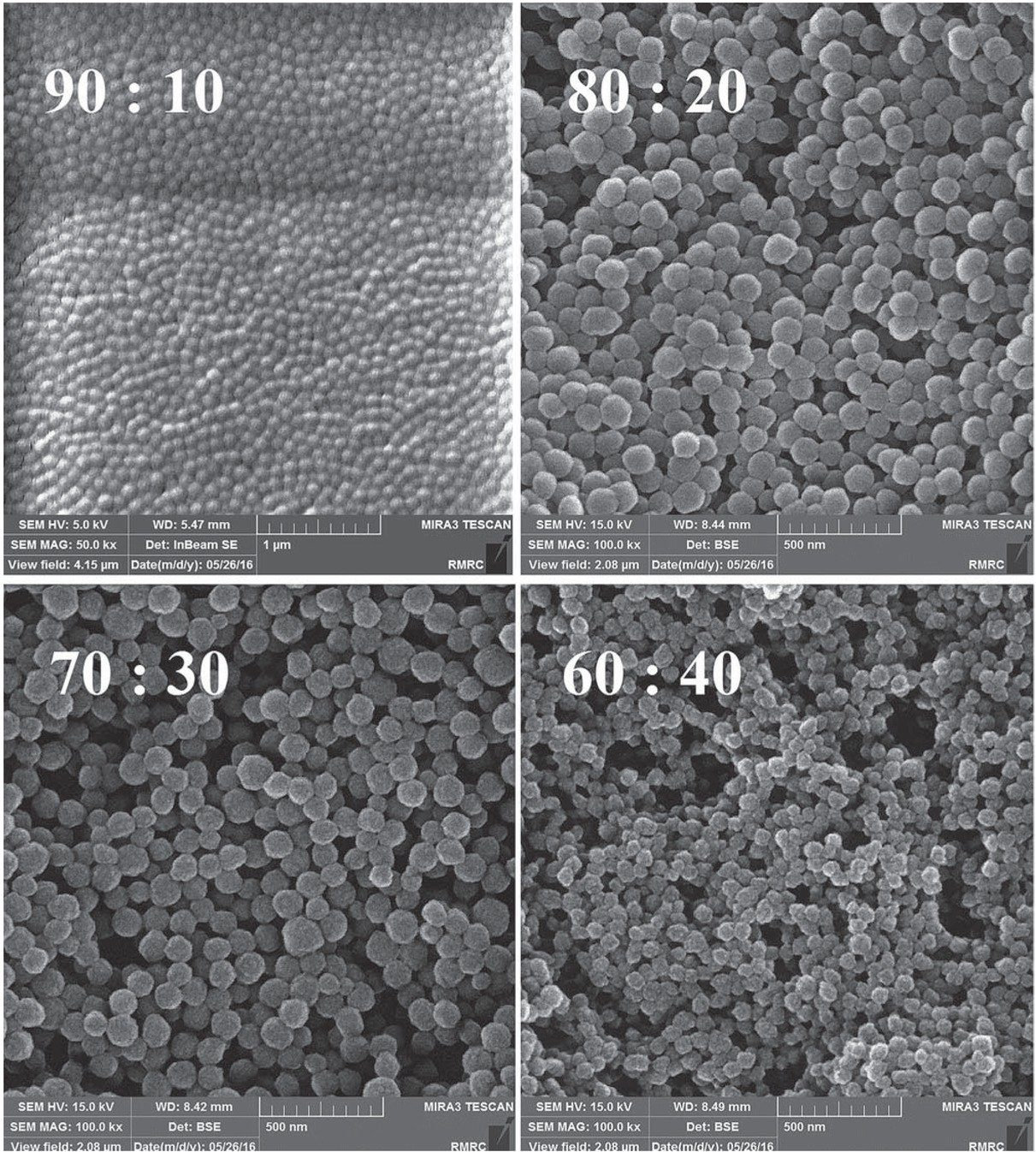 Figure 1 FE-SEM images of PAA nanoparticles with different AA: EGDMA molar ratios.