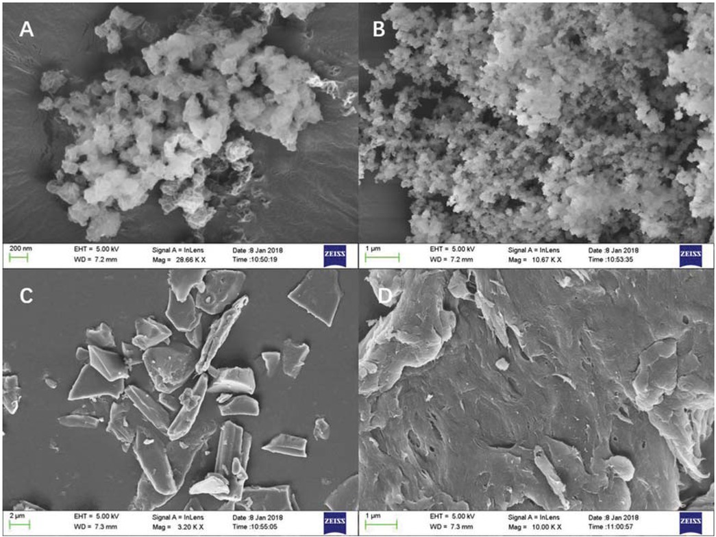 Figure 3 SEM photographs of (a) CMC-g-PAMD (×50000); (b) CMC-g-PAMD (×10000); (c) CMC (×5000); (d) CMC (×10000).