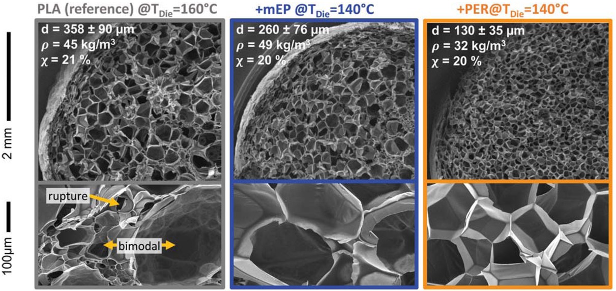 Figure 4 SEM images of the extrusion foams at two magnifications. Cell sizes and crystallinities χ are given in the corner.