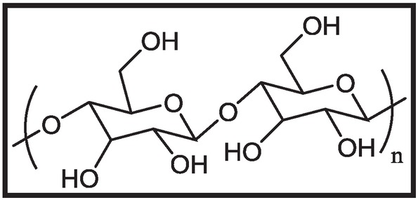 Figure 4 Structure of cellulose.