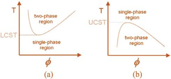 Figure 7 Schematic representation of phase diagrams showing lower critical solution temperature (LCST) and upper critical solution temperature (UCST). φ is the weight fraction of polymer in solution, T is the temperature (132). (© Reprinted with the permission from Elsevier).