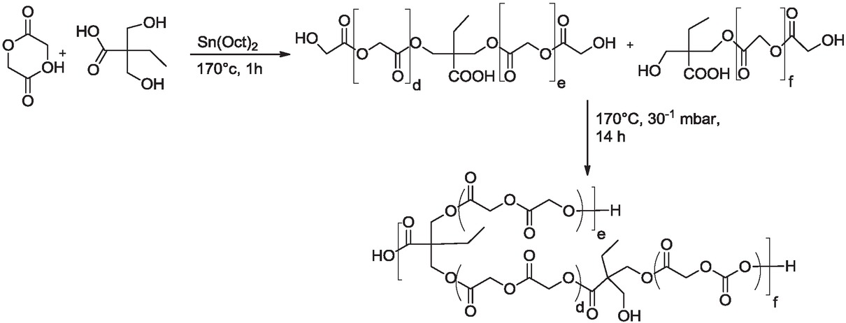 Scheme 1 Mechanistic scheme of preparation of soluble hyperbranched glycolide with 2,2’- Bis(hydroxymethyl) butyric acid using St(Oct)2 as a catalyst.