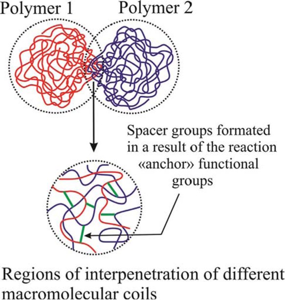 Scheme 1 Schematic illustration of paired polymer structure.