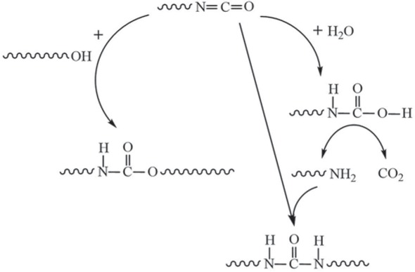Scheme 1 Reaction mechanism between excess -NCO and -OH or H2O.