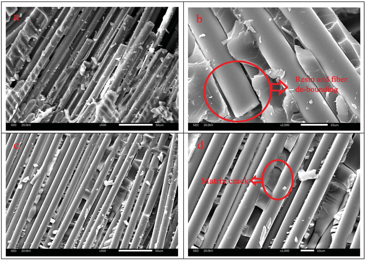 Figure 5 SEM image of CM-B1 bending failure.