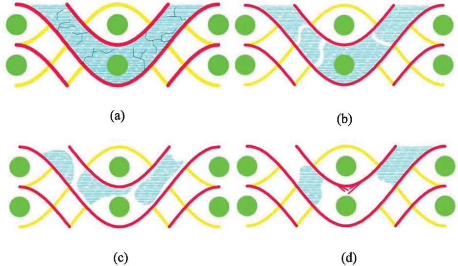 Figure 8 Fiber and resin state when composite material is subjected to bending load: (a) crack in the resin matrix; (b) resin matrix fracture; (c) resin and fiber stripping; (d) fiber and resin break.
