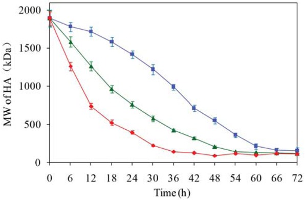 Figure 5 Changes in the molecular weight of hyaluronan in the fermentation supernatant incubated at different temperatures. ■ 34°C, ▴ 37°C, ♦ 40°C. HA = hyaluronan; MW = molecular weight.