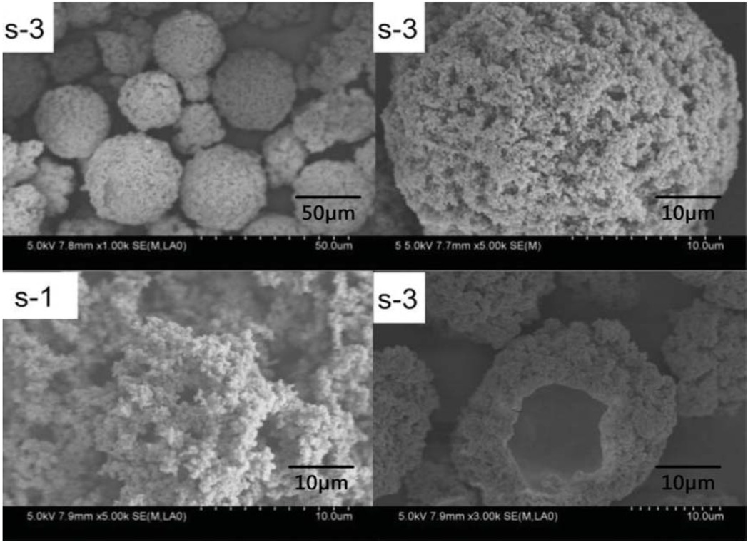 Figure 2 Enlarged picture of different multiples of composites prepared with the pyrrole monomer content of 5%.