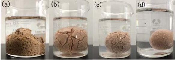 Figure 3 Images of the mud balls after immersion.