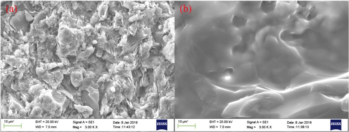 Figure 5 SEM image of the original shale (a) and the modified shale surface immersed in 1.0% KMAA solution (b).