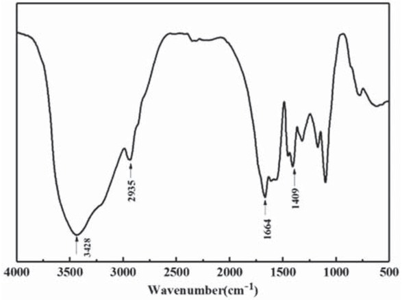 Figure 3 Infrared spectrum of PAM gel particles.
