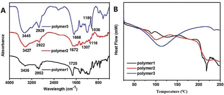 Figure 2 Infrared spectrum and DSC curves of acrylamide polymers: (a) FT-IR, (b) DSC.