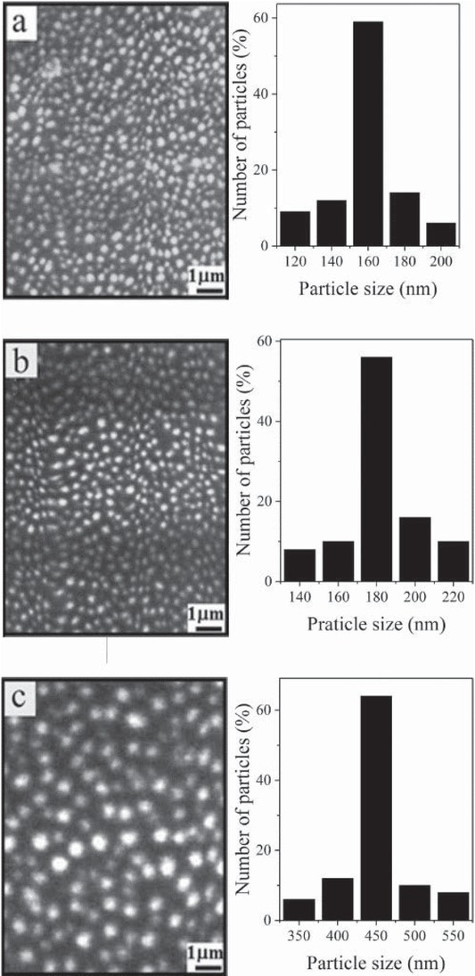 Figure 3 SEM images and size distribution of PWA particles of composite films PWA/P (2VPco1MA) (a), PWA/P (1VPco1MA) (b), and PWA/P (1VPco2MA) (c).