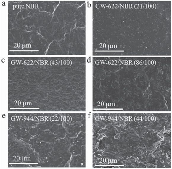 Figure 3 SEM image of hindered amine/NBR composites.