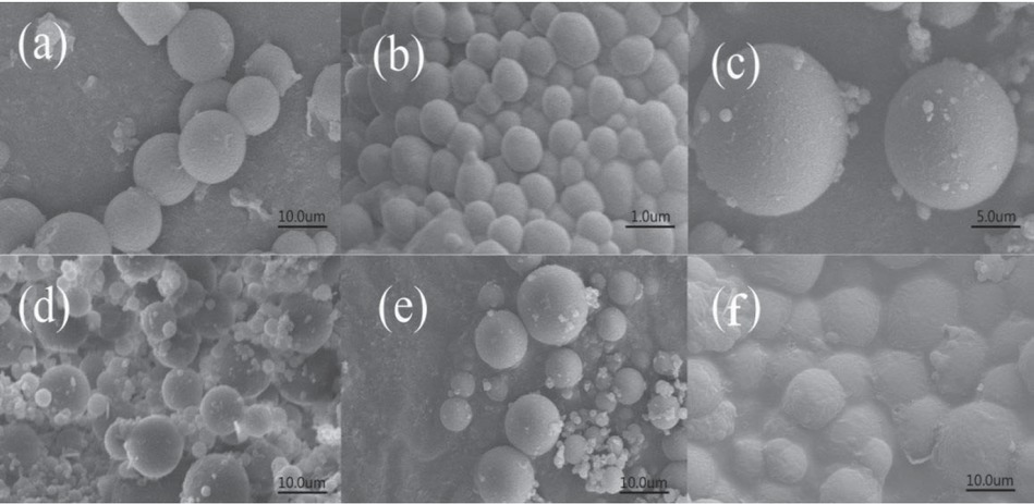 Figure 4 SEM micrographs of (a) HA-AMA, (b) HA-BDDA, (c) HA-PETRA, (d) HA-TMPTA, (e) HA-DVB, (f) PHA.
