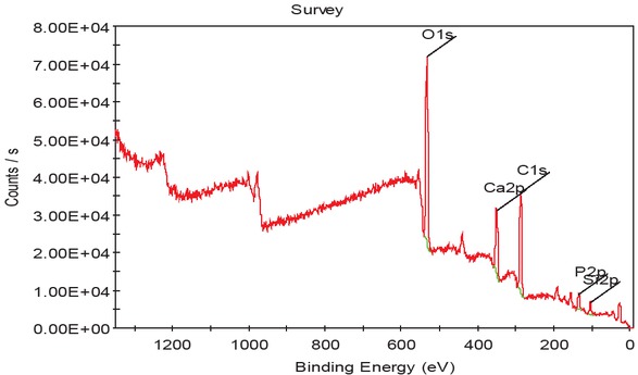 Figure 9 XPS analysis of HA-PETRA microcapsules after release of β-tricalcium phosphate.