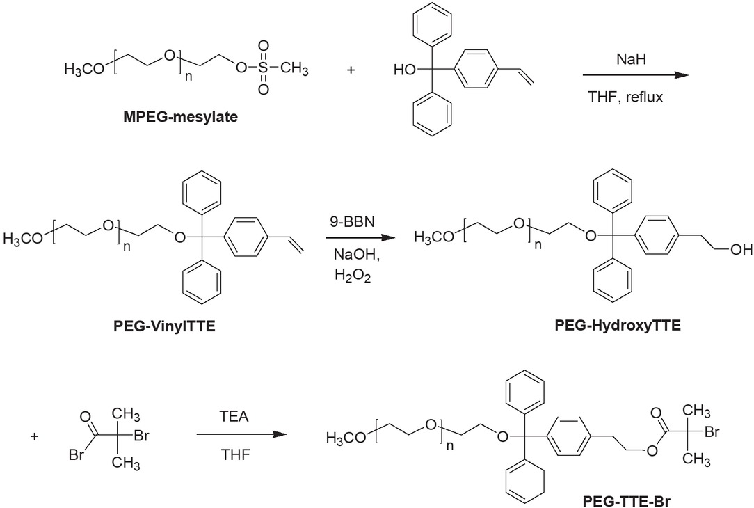 Scheme 1 Synthesis of ATRP macroinitiator PEG-TTE-Br.