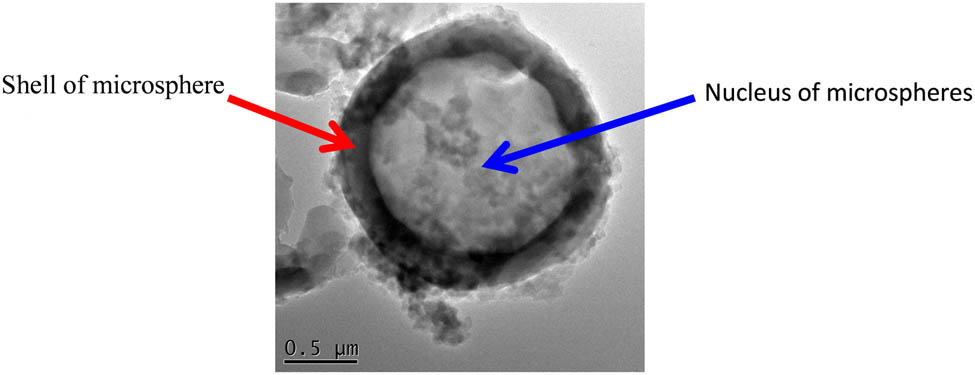 Figure 2 Microstructure of the microsphere “core–shell”.