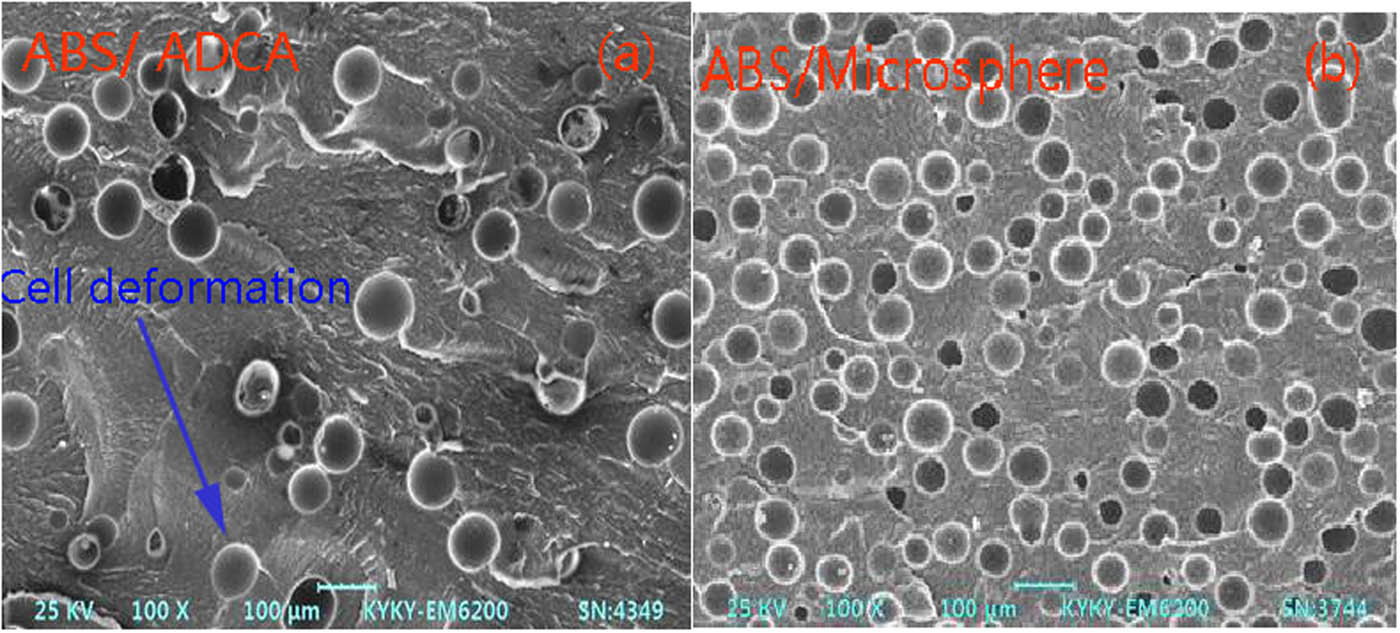 Figure 6 Cell structure of foamed ABS material under injection molding.