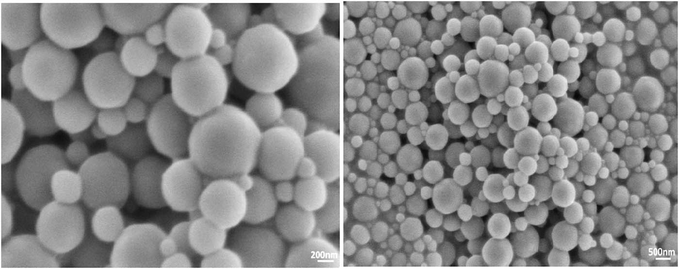 Figure 4 SEM images of PDAA at different magnification.