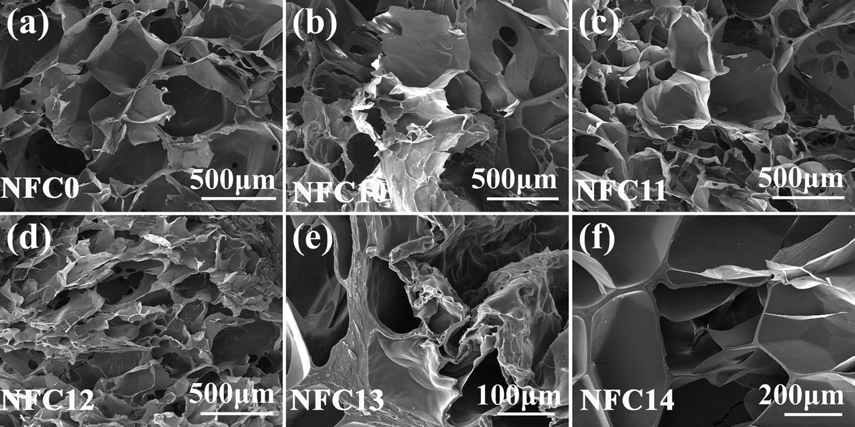 Figure 1 Microstructure characteristics of intelligent hydrogels with NFC contents of (a) 0 mg/mL, (b) 10 mg/mL, (c) 11 mg/mL, (d) 12 mg/mL (e) 13 mg/mL, and (f) 14 mg/mL.