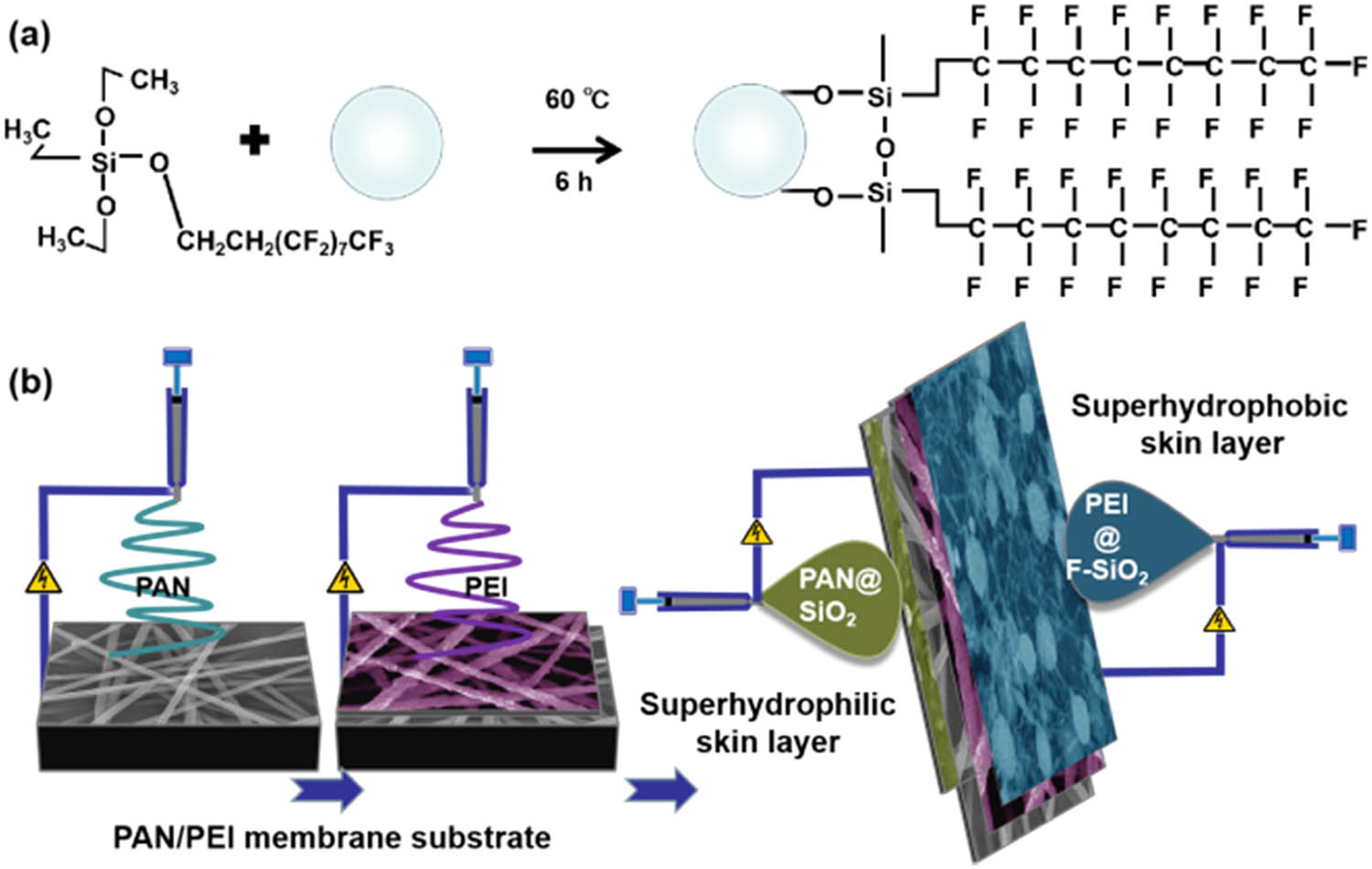 Figure 1 (a) Schematic diagram of the preparation of superhydrophobic SiO2 NPs. (b) Schematic illustration of the fabrication of the PAN/PEI bilayer membranes and the asymmetric superwettability skin layers.