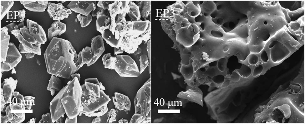 Figure 12 SEM images of EP and EP3 char residues.