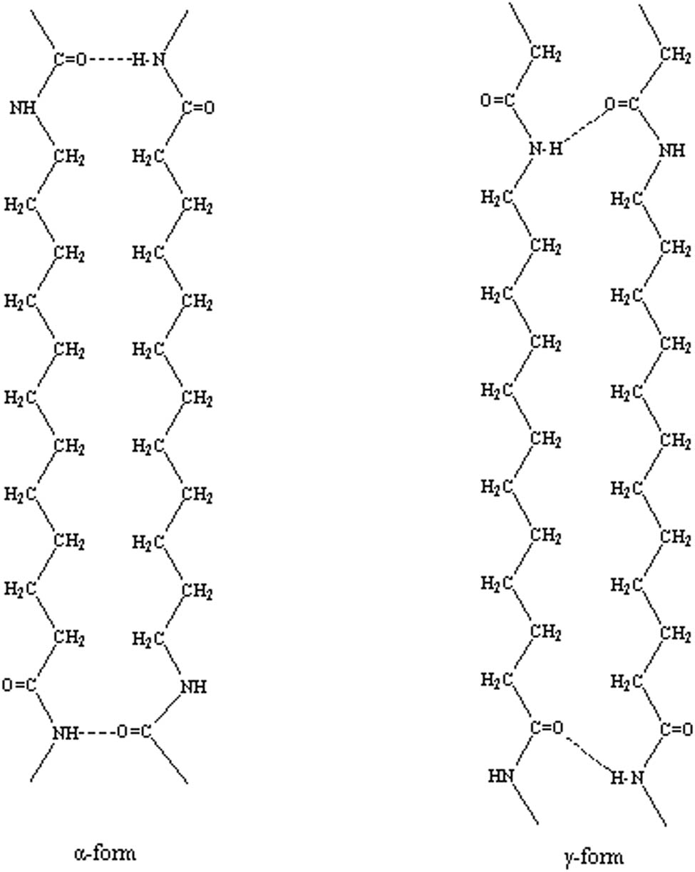 Figure 1 The hydrogen bond structures of α and γ forms in Nylon 12.