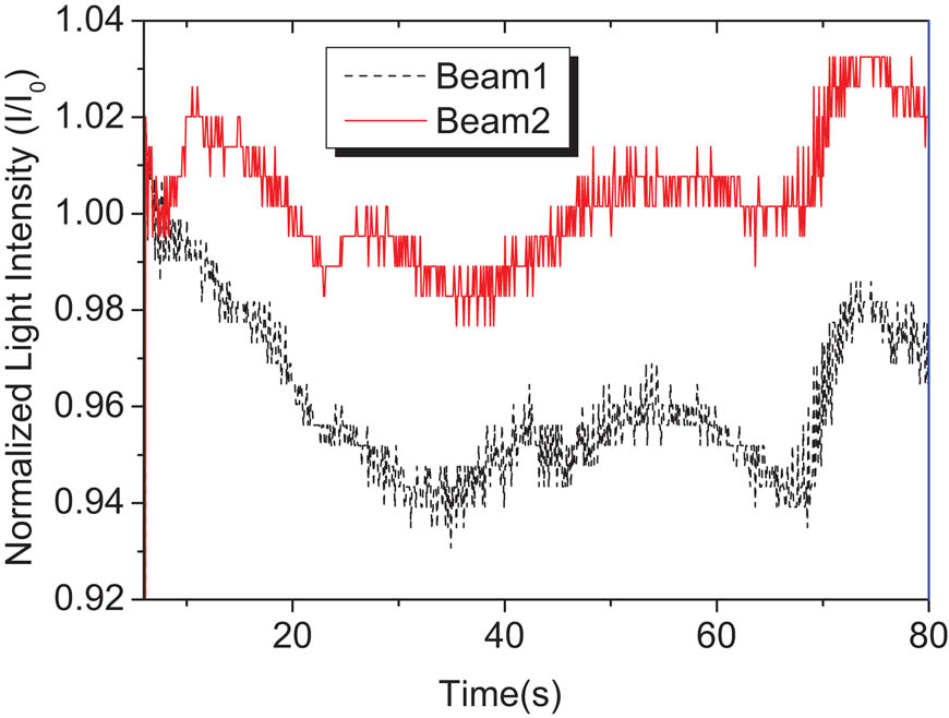 Figure 6 TBC signal of pure polymer P2 at zero electric field.