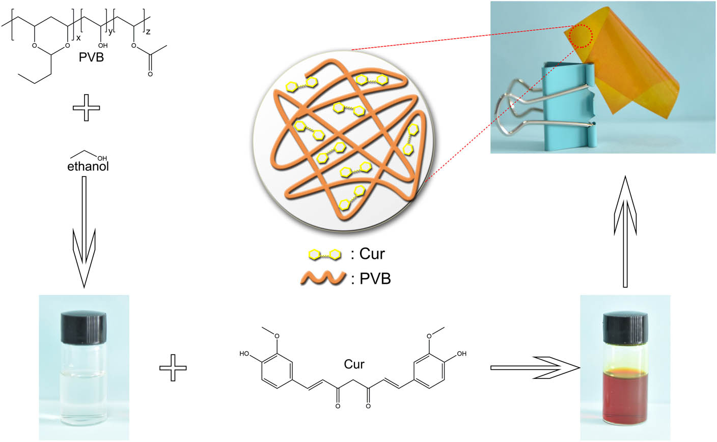 Figure 1 Schematic diagram of Cur-loaded PVB films.